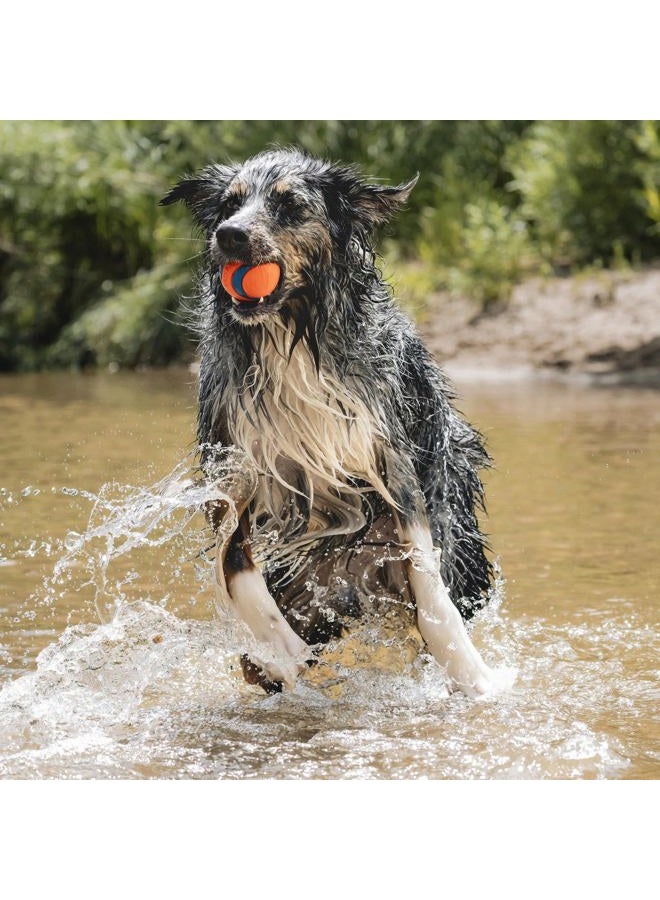 Chuckit! Ultra Ball Dog Toy - Size Large - For Dogs 60-100 lbs - Made from Durable Rubber - Super Bouncy - Floats in Water - 3-inch Diameter - Pack of 1 - Image 3